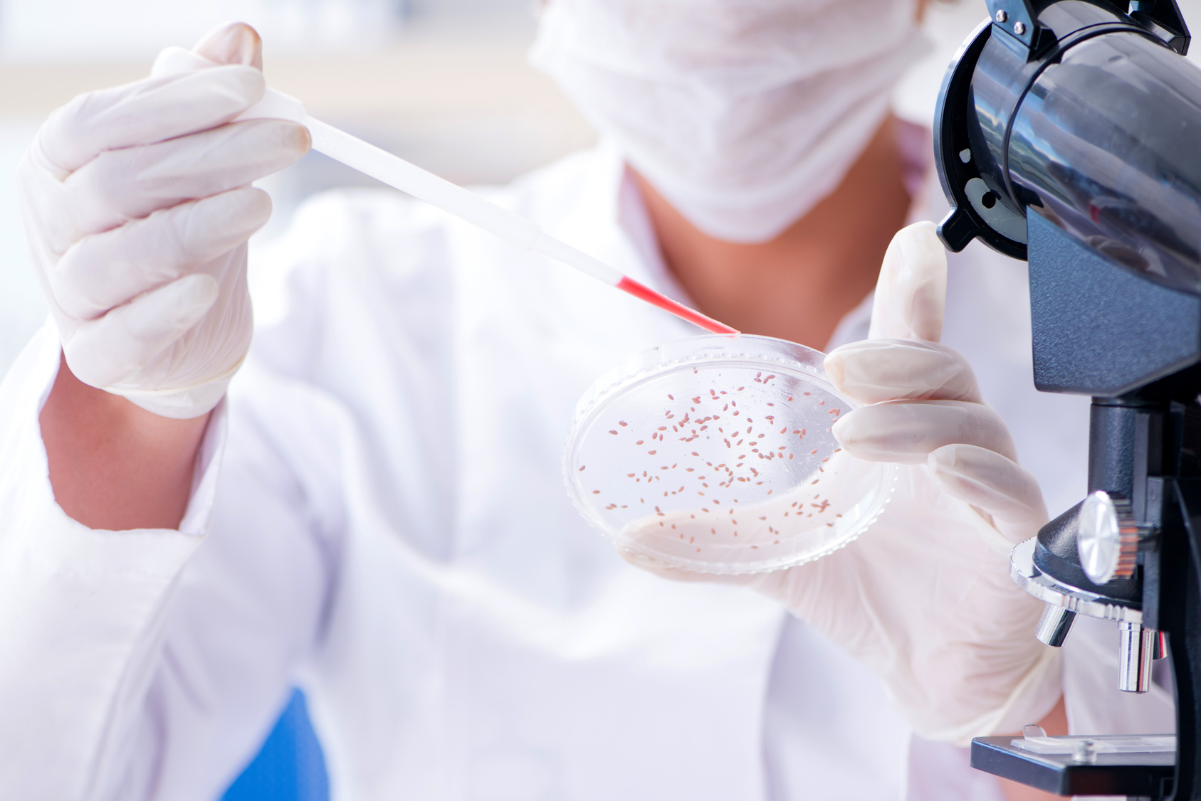 Hygieneinspektion einer RLT-Anlage mit Probenahme